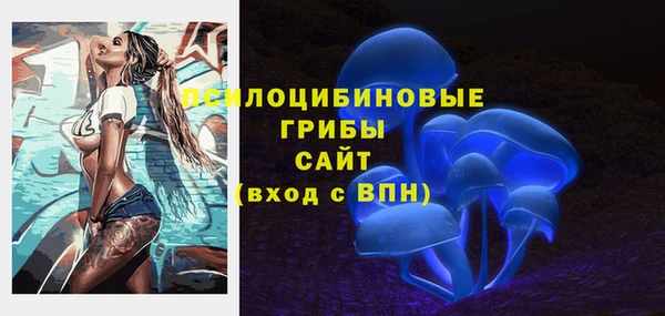 не бодяженный Богданович