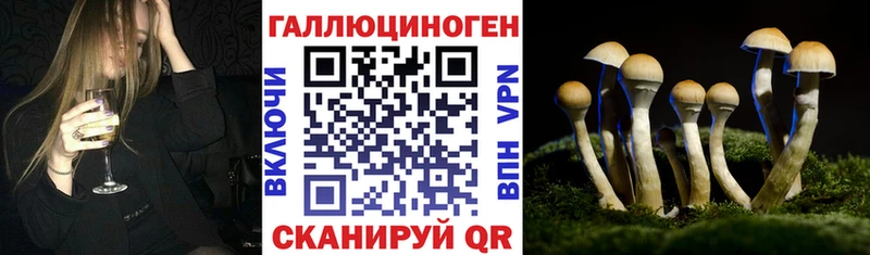 Галлюциногенные грибы мухоморы  где продают наркотики  Михайлов 